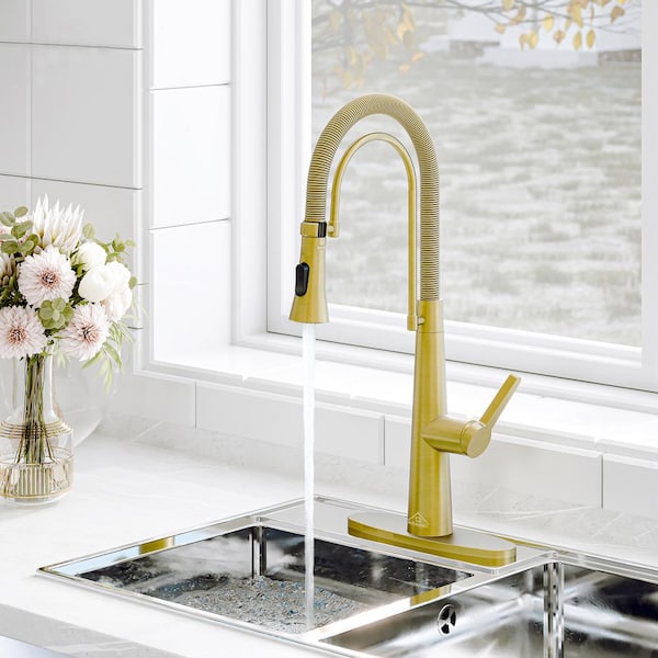 2-Spray Patterns Single Handle Pull Down Sprayer Kitchen Faucet with Deck Plate and Water Supply Hoses in Brushed Gold
