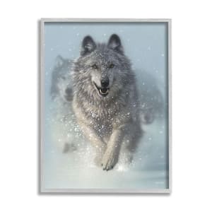 Wolves Running Snow Siberian Wild Winter Animals By Collin Bogle Framed Print Nature Texturized Art 16 in. x 20 in.