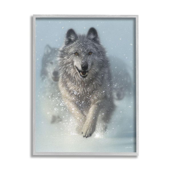 Stupell Industries Wolves Running Snow Siberian Wild Winter Animals By Collin Bogle Framed Print Nature Texturized Art 24 in. x 30 in.