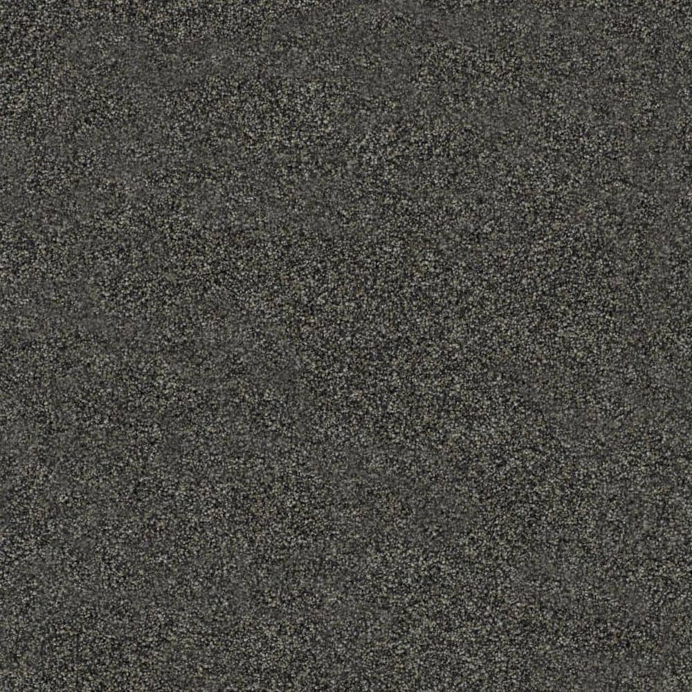 8 in. x 8 in. Texture Carpet Sample-Cinderella Soft III-Color Exciting price history on PriceWatchPro