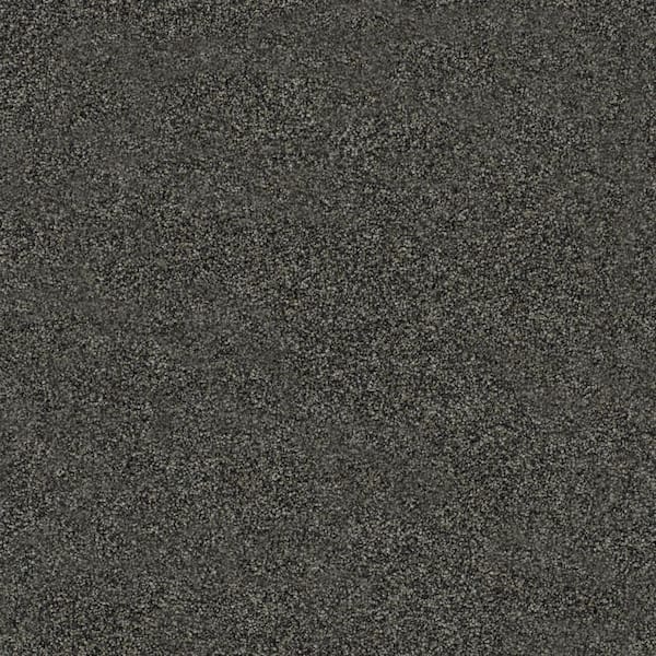 8 in. x 8 in. Texture Carpet Sample-Cinderella Soft III-Color Exciting