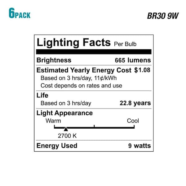 ecosmart 1003032703