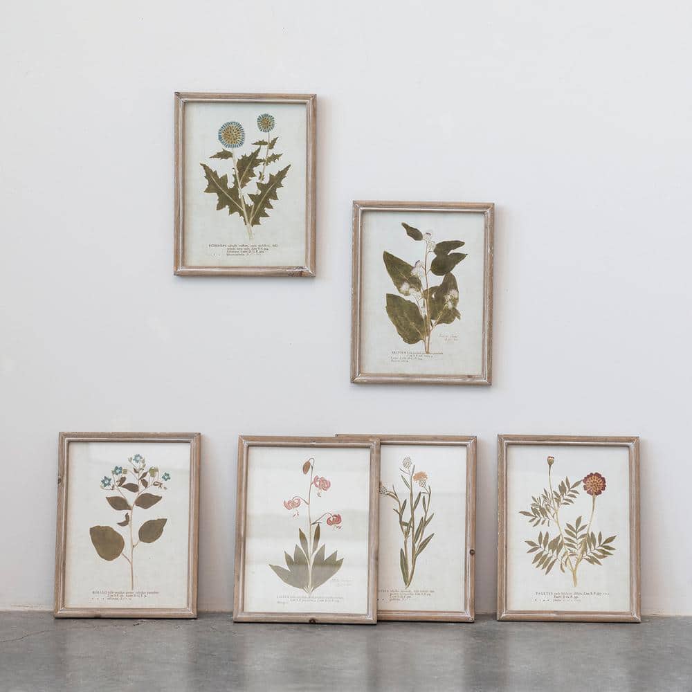 Vintage Botanical Print Set in Wood Frames, 10" x 13"