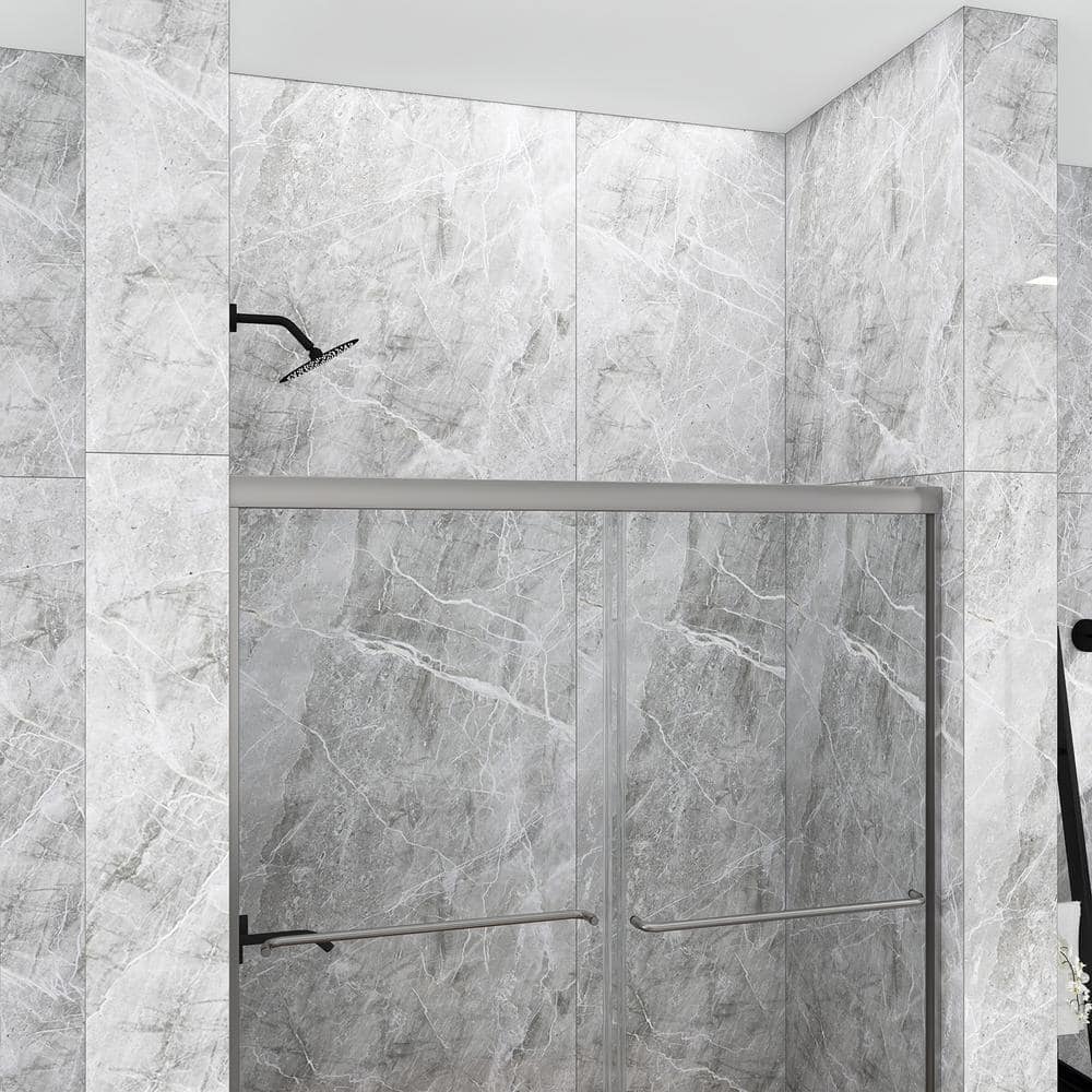 60 in. Chrome Framed Double Sliding Shower Door with Clear Glass