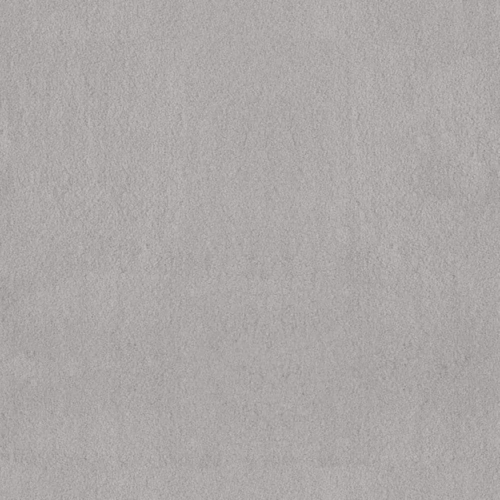 8 in. x 8 in. Texture Carpet Sample-Dreamy Daze II-Color Dolphin Fin price history on PriceWatchPro