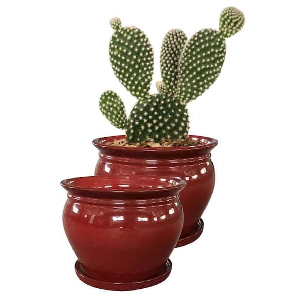 https://images.thdstatic.com/productImages/332aeee0-452b-4a73-a1f9-dc18598d4c3f/svn/oxblood-southern-patio-plant-pots-crm-031055p2-64_600.jpg