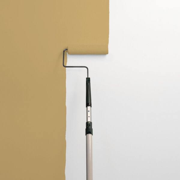 Buffalo Hide PPG1105-6 Paint