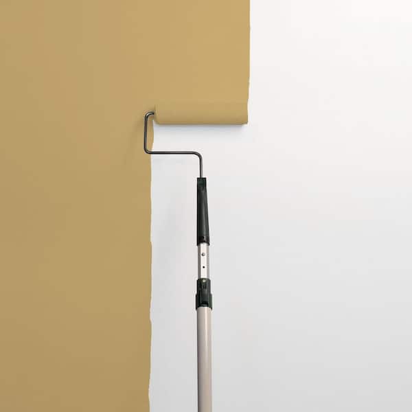 Buffalo Hide PPG1105-6 Paint