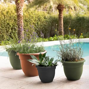 Ariana 21.5 in. Living Green Plastic Self-Watering Planter