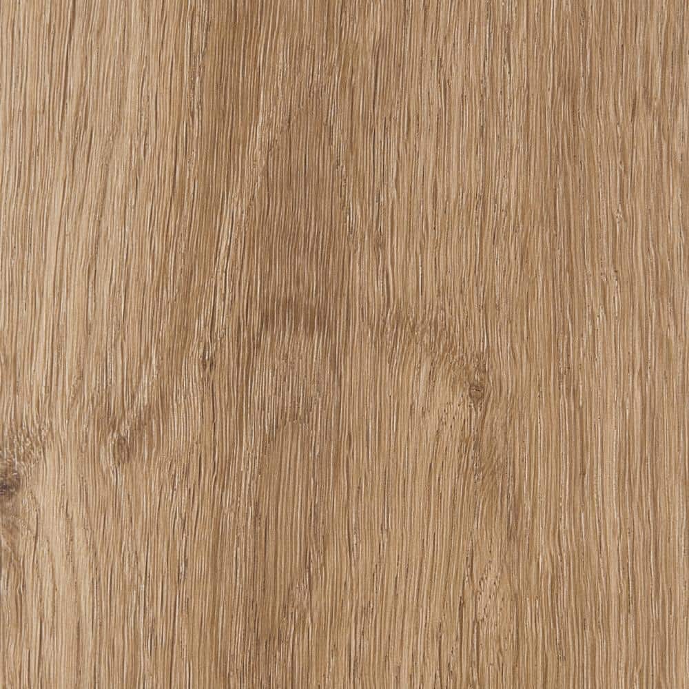 Take Home Sample- Liz Marie's Sandbar Blonde 20-MIL x 7 in. x 8 in. Glue Down Waterproof Luxury Vinyl Plank Flooring price history on PriceWatchPro
