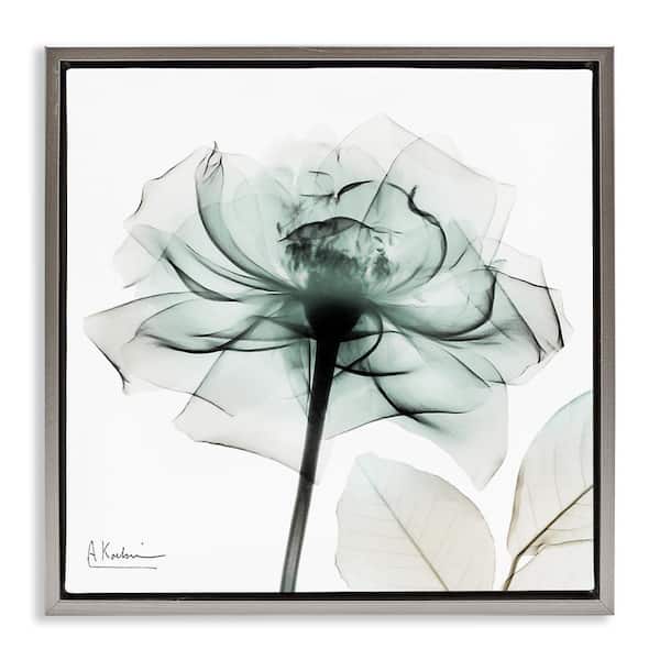 Stupell Industries Transparent Flower Blossom by Albert Koetsier Gray Floater Frame Nature Graphic Art Print 18 in. x 18 in.