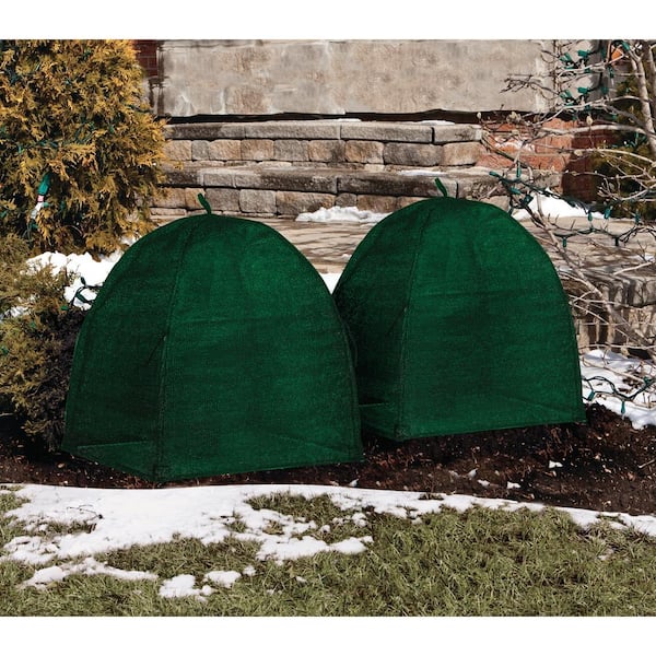 NuVue Winter Rose Collar 3 pk Plant Protector