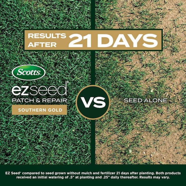Scotts EZ Seed Patch and Repair Southern Gold Blend for Tall