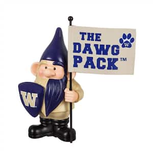 10 in. x 6 in. University of Washington NCAA Garden Gnome with Team Flag