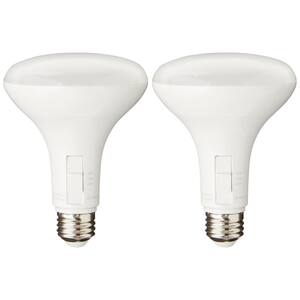65/75/90-Watt Equivalent BR30 3-Way Flood ENERGY STAR Dimmable CEC LED Light Bulb Soft White (2-Pack)