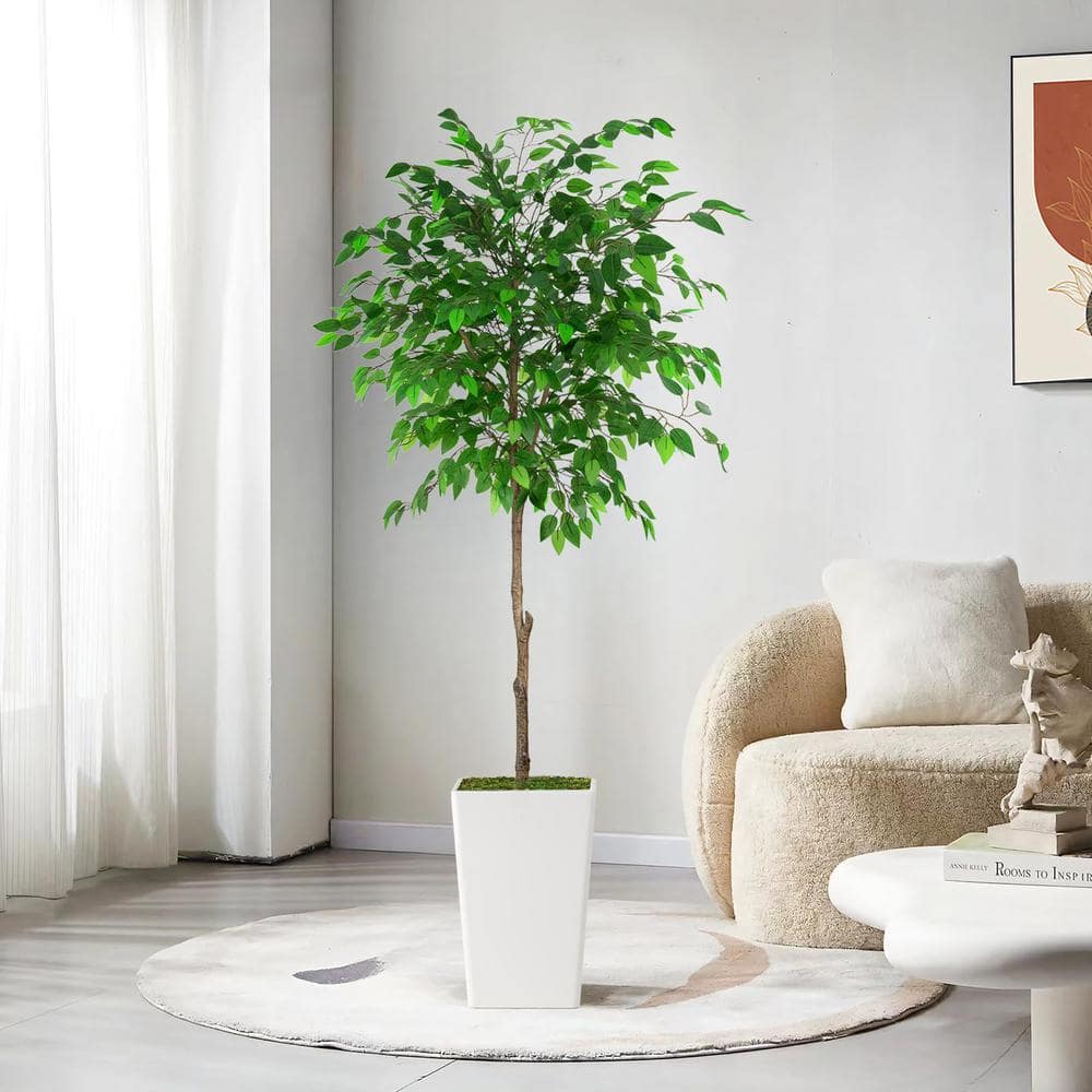 7ft Artificial Ficus Tree with White Plastic Pot