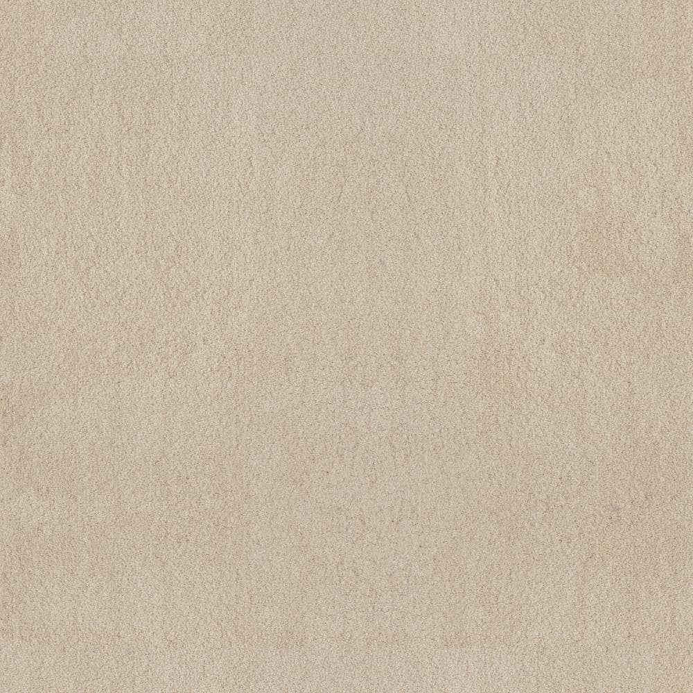 8 in. x 8 in. Texture Carpet Sample - Dreamy Daze II -Color Caspian price history on PriceWatchPro