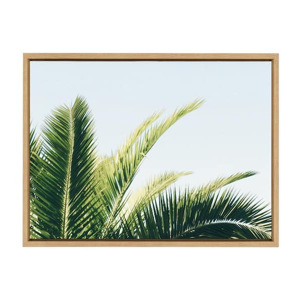 Kate and Laurel Sylvie Tropical Palm Under Blue Sky by Amy Peterson Art Studio Framed Canvas Coastal Art Print 18 in. x 24 in.