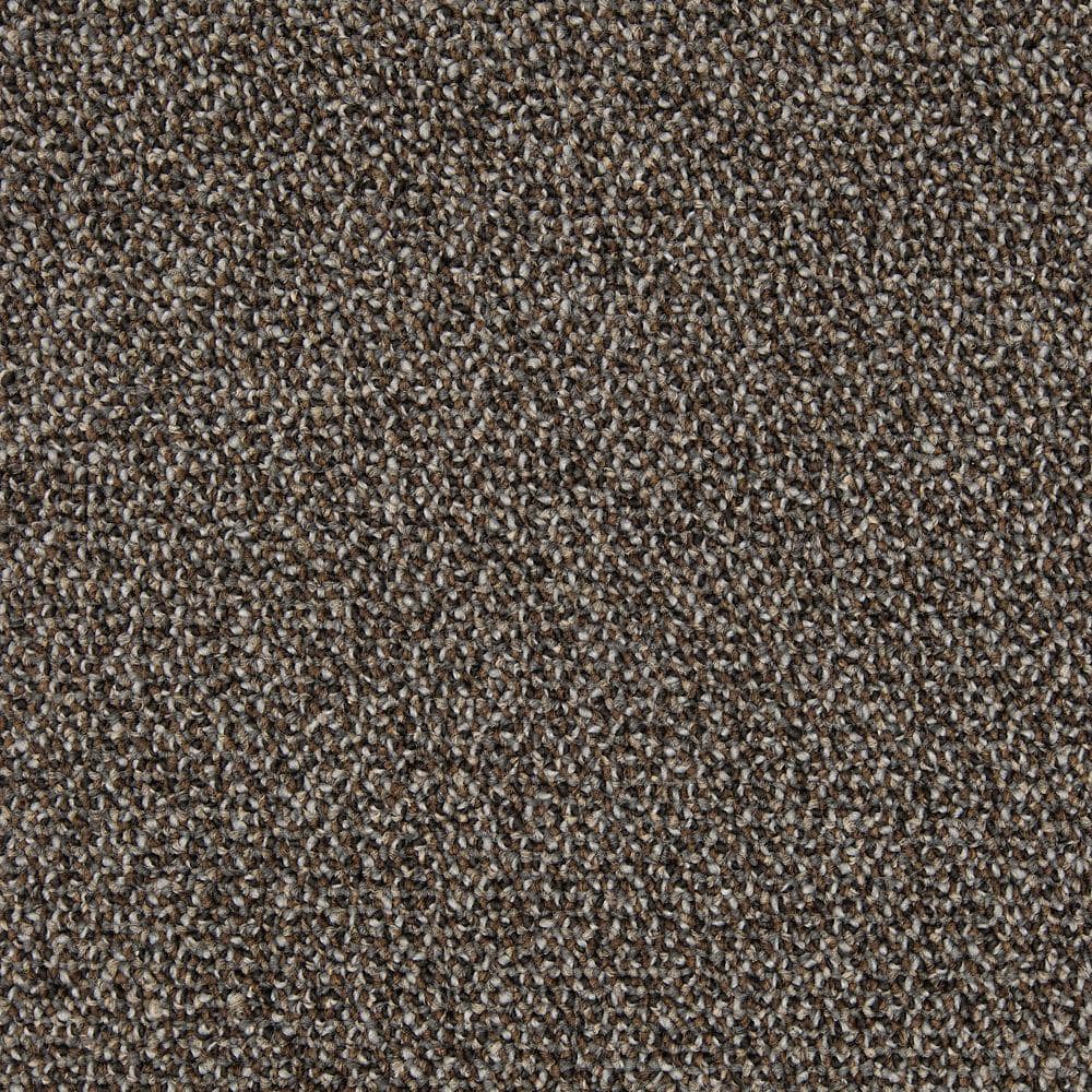 8 in. x 8 in. Pattern Loop Carpet Sample - Grand Forks - Color Augmented Reality price history on PriceWatchPro