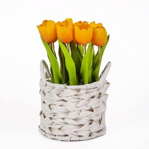 10 in. Artificial Floral Arrangements Tulips in Basket- Color: Orange