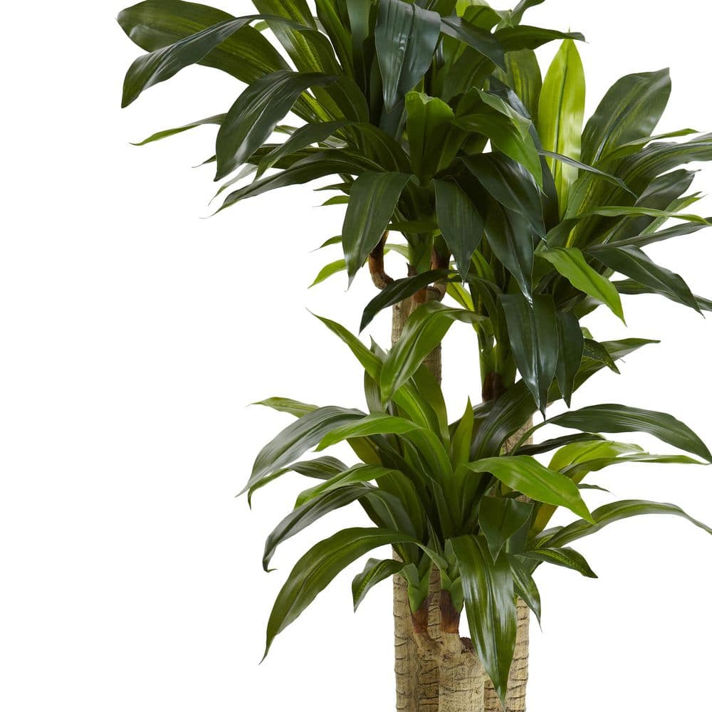 Elegant 4.5 ft Green Silk & Plastic Cornstalk Dracaena Arrangement
