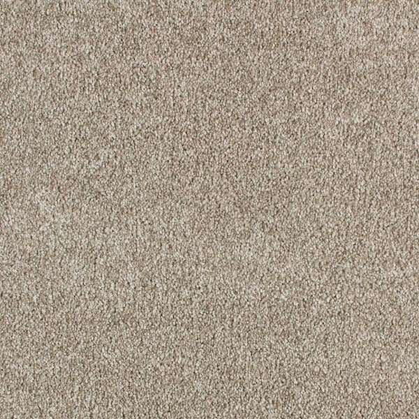 Lifeproof with Petproof Technology 8 in. x 8 in. Texture Carpet Sample - Cleoford -Color Yarn