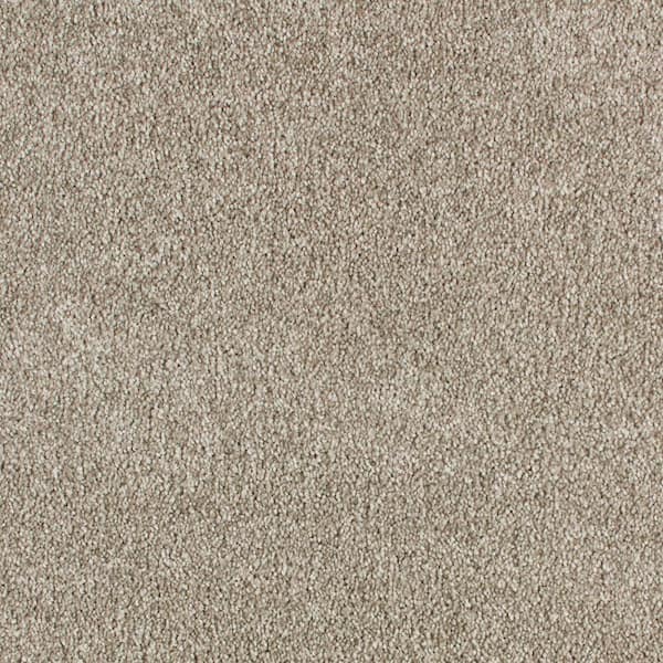 Lifeproof with Petproof Technology 8 in. x 8 in. Texture Carpet Sample - Cleoford -Color Yarn