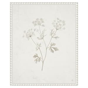 Plants from the Meadow IV by Sarah Adams 1-Piece Floater Frame Giclee Home Canvas Art Print 20 in. x 16 in.