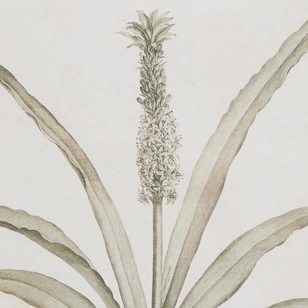 Light Brown and White Botanical Print Wall Art Set