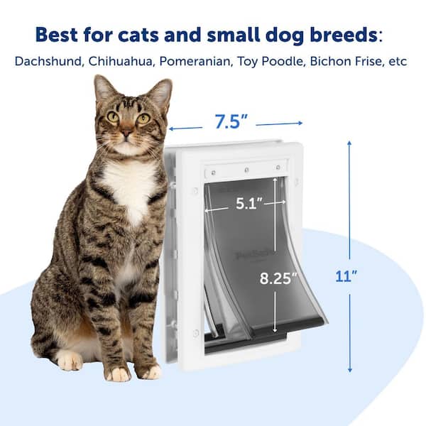 Have a question about PetSafe 5-1/8 in. x 8-1/4 in. Small Extreme