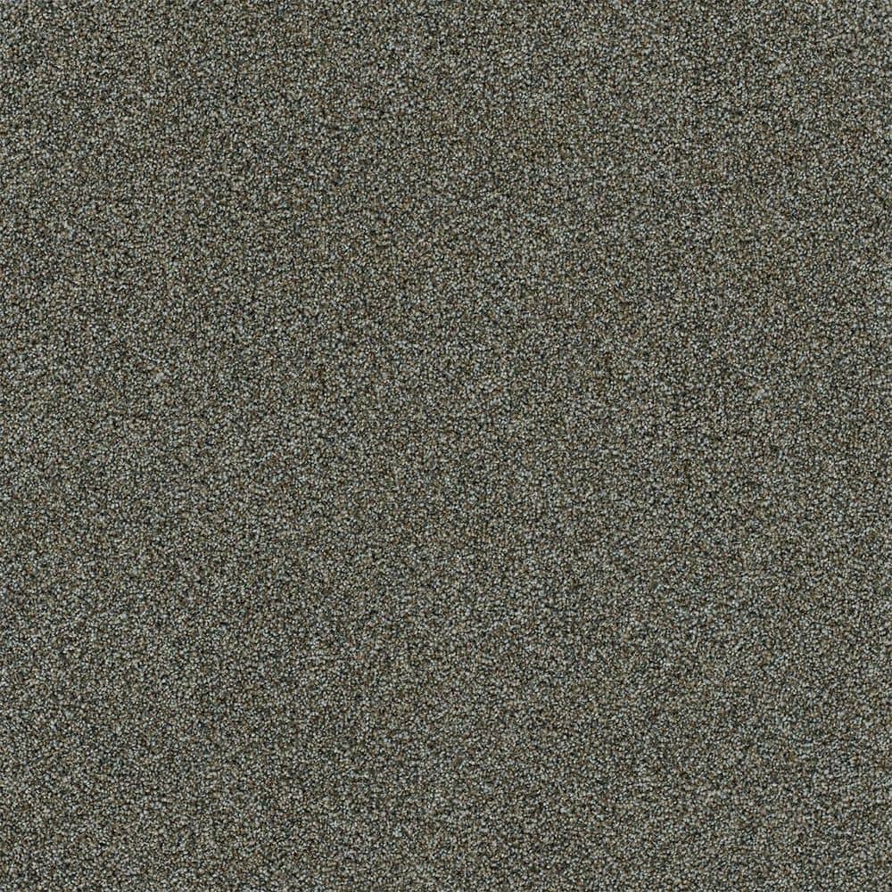8 in. x 8 in. Texture Carpet Sample-Dewdrop I-Color Tranquil price history on PriceWatchPro