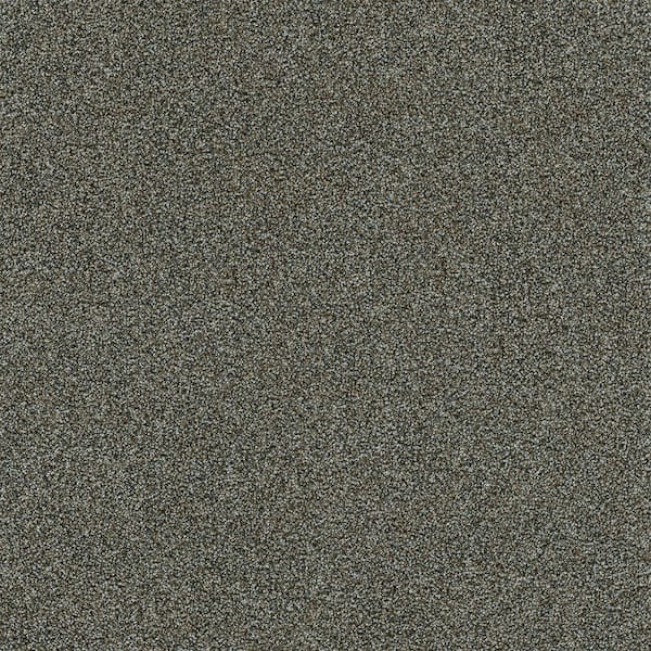 8 in. x 8 in. Texture Carpet Sample-Dewdrop I-Color Tranquil
