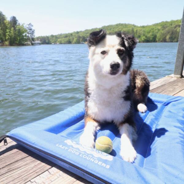 Large Blue Lazy Dog Pool Lounger and Lake Raft Float LG-RB-520