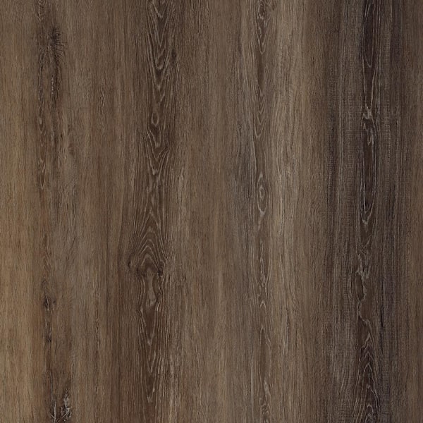 Home Decorators Collection Take Home Sample - Oak Grove Oak Click Lock Waterproof Luxury Vinyl Plank Flooring