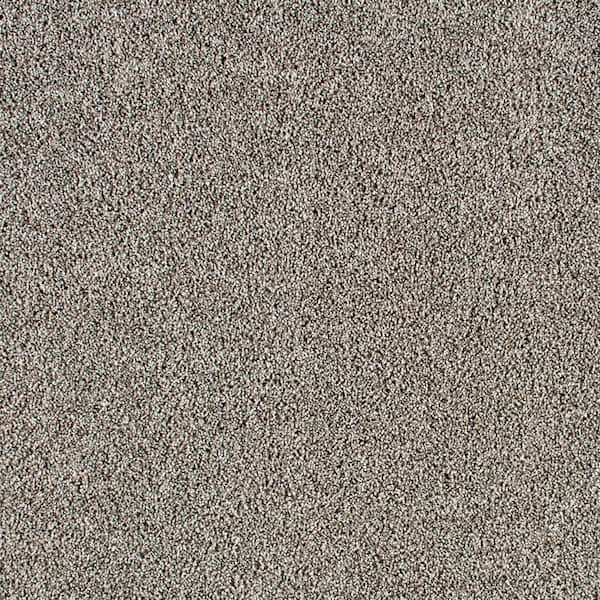 Gorrono Ranch II  - Cape Cod - Gray 38 oz. Triexta Texture Installed Carpet