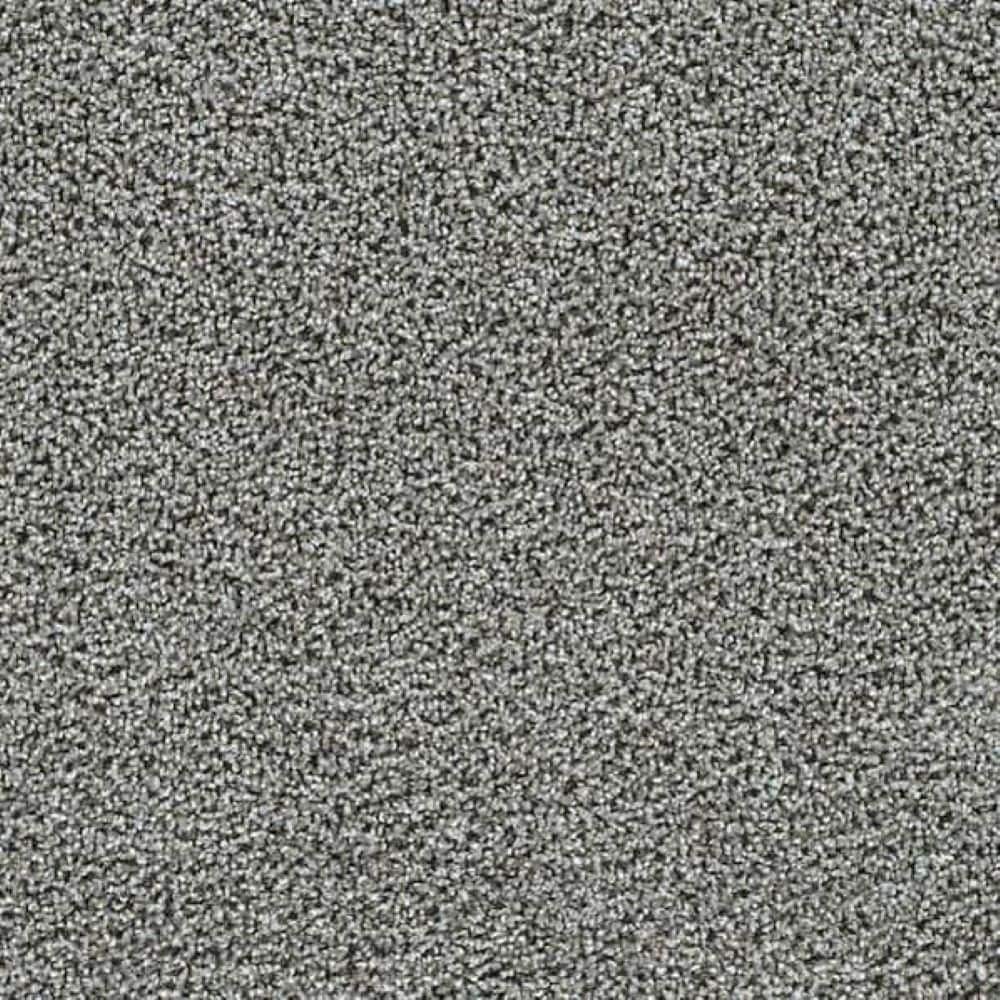 8 in. x 8 in. Texture Carpet Sample-Friendship Fables-Color Unity price history on PriceWatchPro