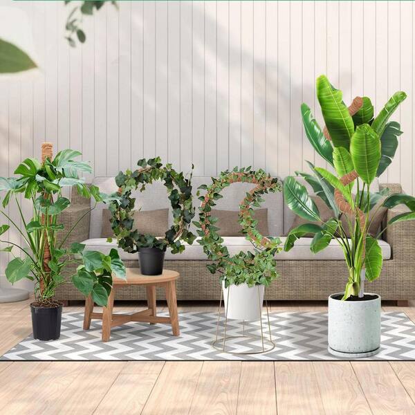 OGETFUUR 1 Pack 40 in. Moss Poles Coco Coir Plant Pole Moss Plant