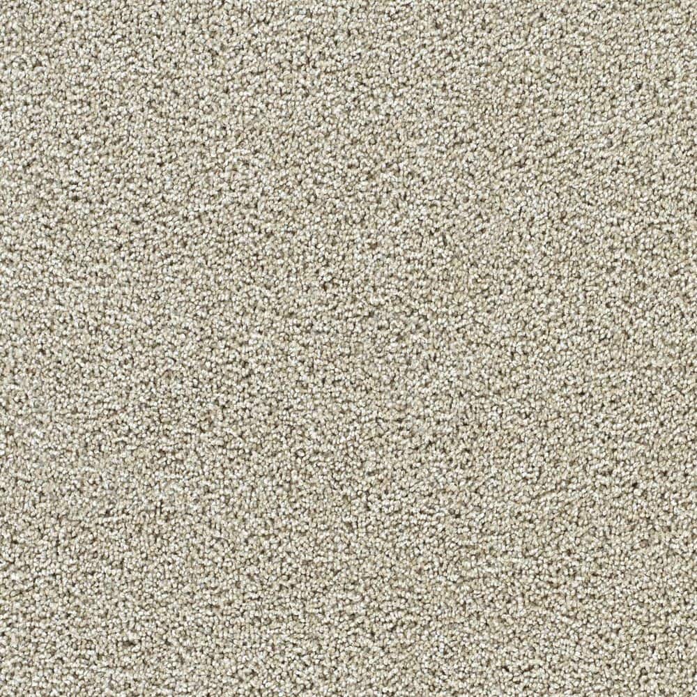 8 in. x 8 in. Texture Carpet Sample-Easel-Color Palette price history on PriceWatchPro
