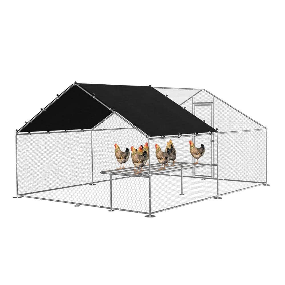 9.8 W x 13.1 L x 6.6 H Metal Chicken Coop Walk in Coop Galvanized Wire P