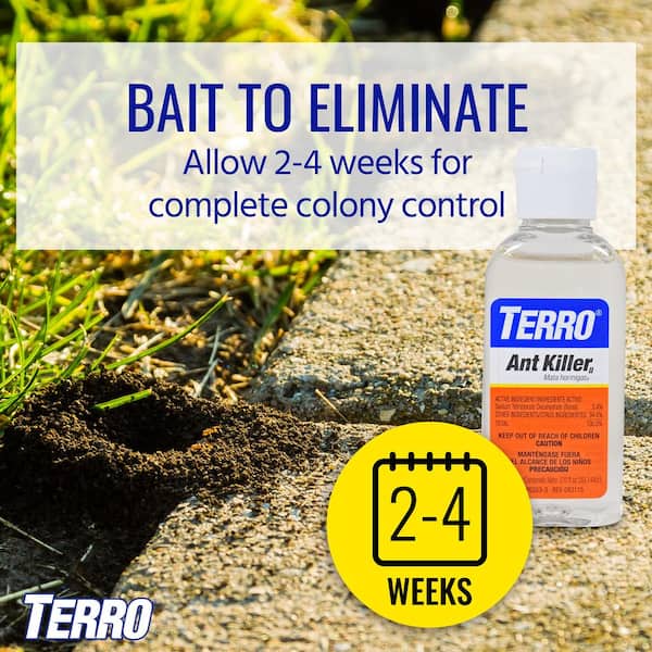 TERRO Indoor Liquid Ant Killer Baits (6-Count) T300 - The Home Depot