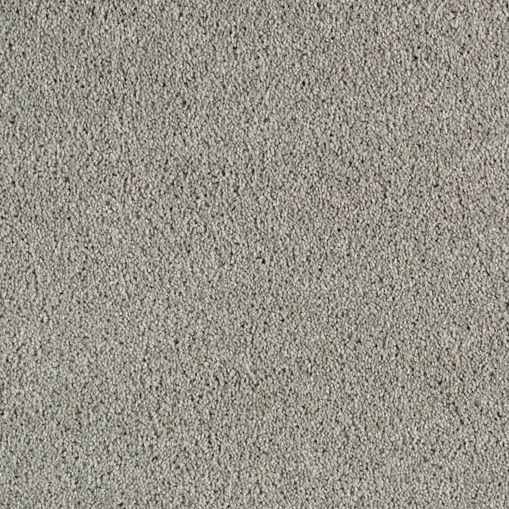 8 in. x 8 in. Texture Carpet Sample - Ambrosina I -Color Landmark price history on PriceWatchPro