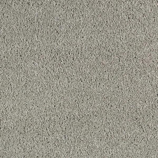 Lifeproof 8 in. x 8 in. Texture Carpet Sample - Ambrosina I -Color Landmark