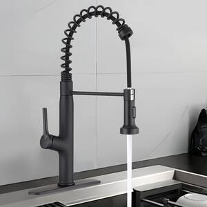 Single Handle Pull Out Sprayer Kitchen Faucet with Deckplate Included and 2 Modes in Matte Black