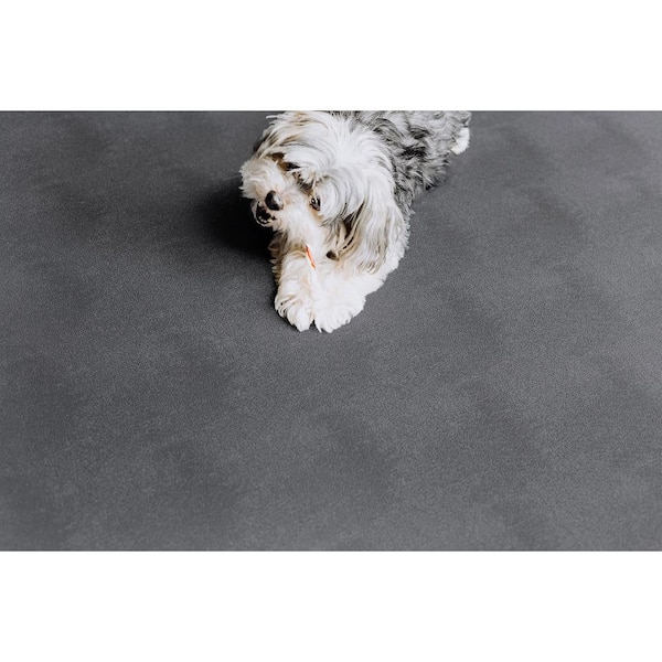 G-Floor® for Pets Protective Floor Covering – Ceramic Texture 5'x10