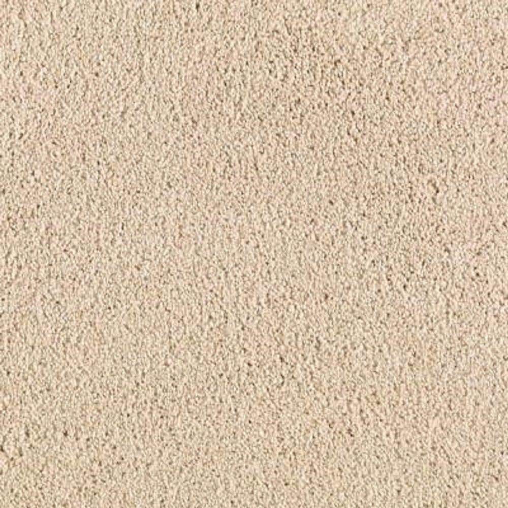 8 in. x 8 in. Texture Carpet Sample - Ambrosina II -Color Antique Ivory price history on PriceWatchPro