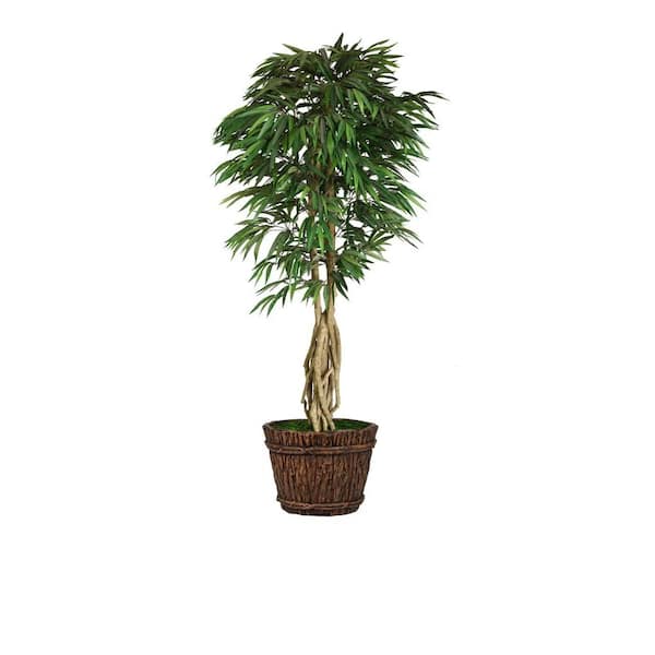Laura Ashley 86 in. Tall Willow Ficus with Multiple Trunks in Planter