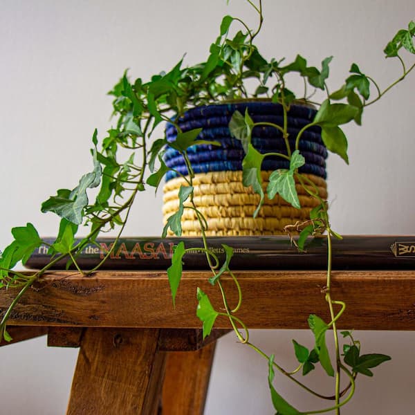 Global Craft Blue and Natural Dried Grass Basket