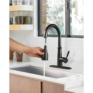 Single Handle Pull Down Sprayer Kitchen Faucet with Advanced Spray, Pull Out Spray Wand in Oil Rubbed Bronze