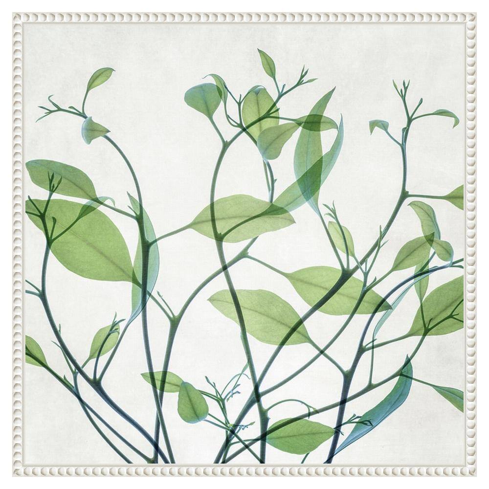 Rendezvous I Green Leaf Canvas Print with White Frame