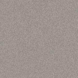 River Rocks I - Brushed Nickel - Gray 42.1 oz. SD Polyester Texture Installed Carpet
